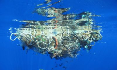 Un oceano senza plastica – Riduci, Ricicla, Riusa, Rimuovi