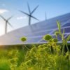 Una bellissima notizia per la biodiversità e la lotta ai cambiamenti climatici