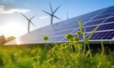 Una bellissima notizia per la biodiversità e la lotta ai cambiamenti climatici