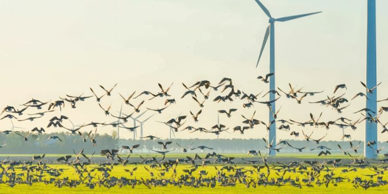 Il I° maggio energia gratis