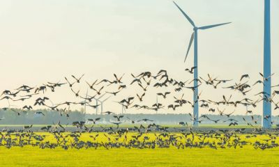 Il I° maggio energia gratis