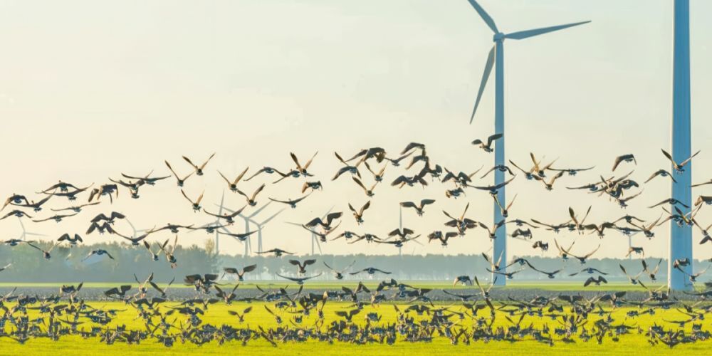 Il I° maggio energia gratis
